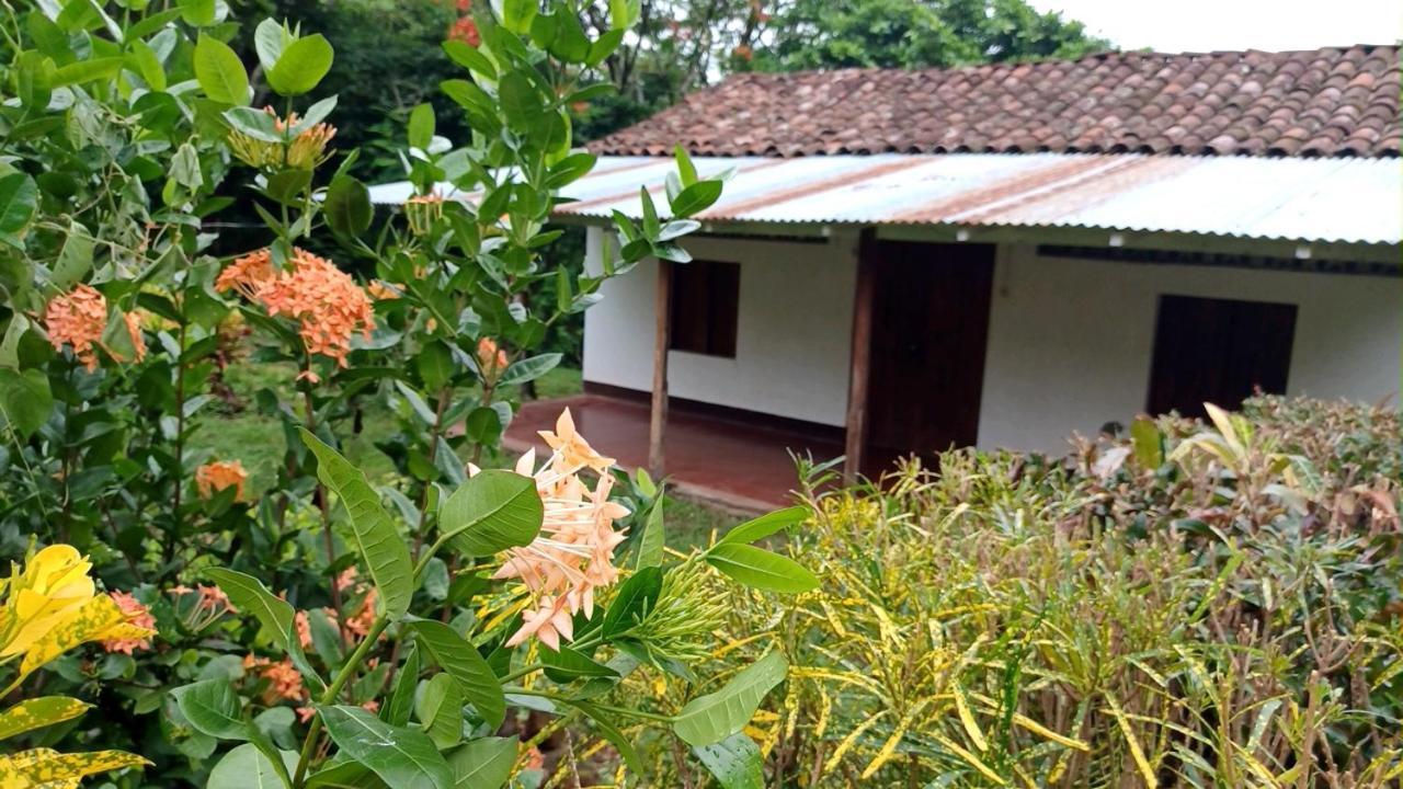 Finca Magdalena Eco Lodge Balgue Eksteriør billede
