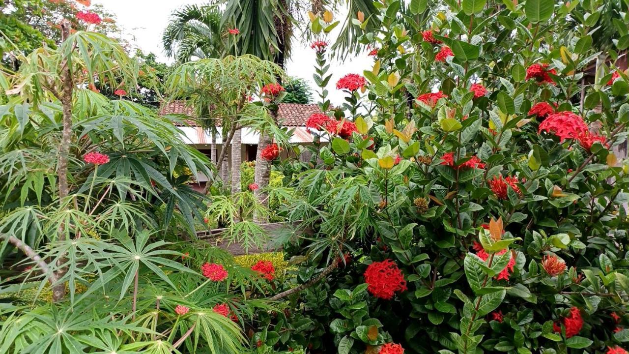 Finca Magdalena Eco Lodge Balgue Eksteriør billede