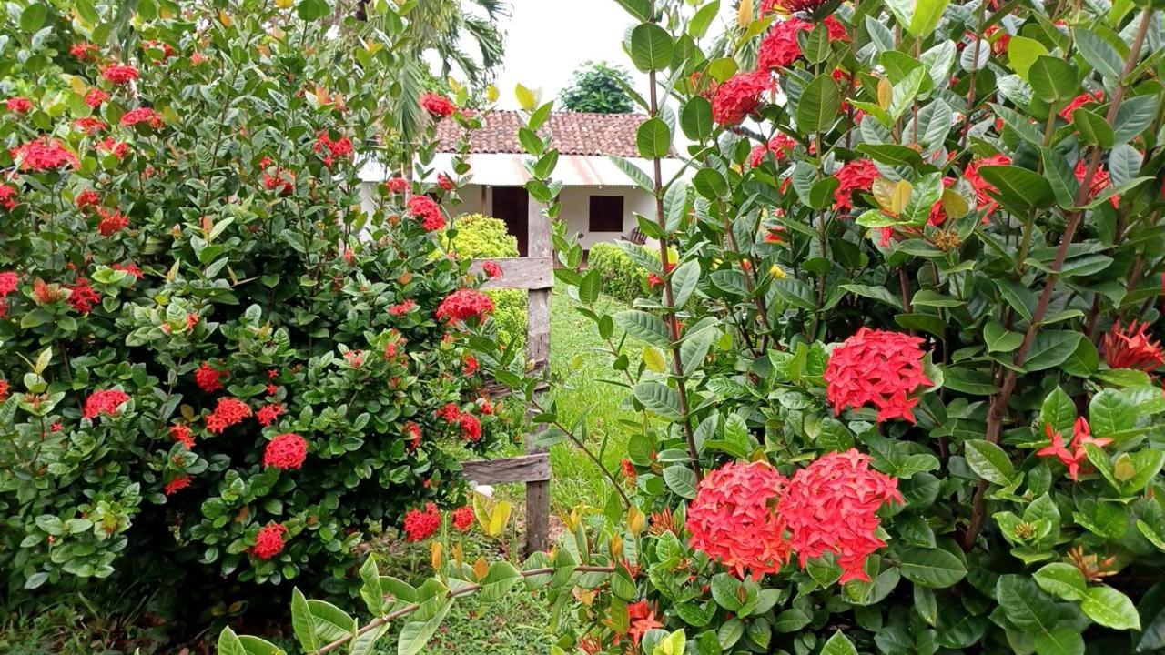 Finca Magdalena Eco Lodge Balgue Eksteriør billede