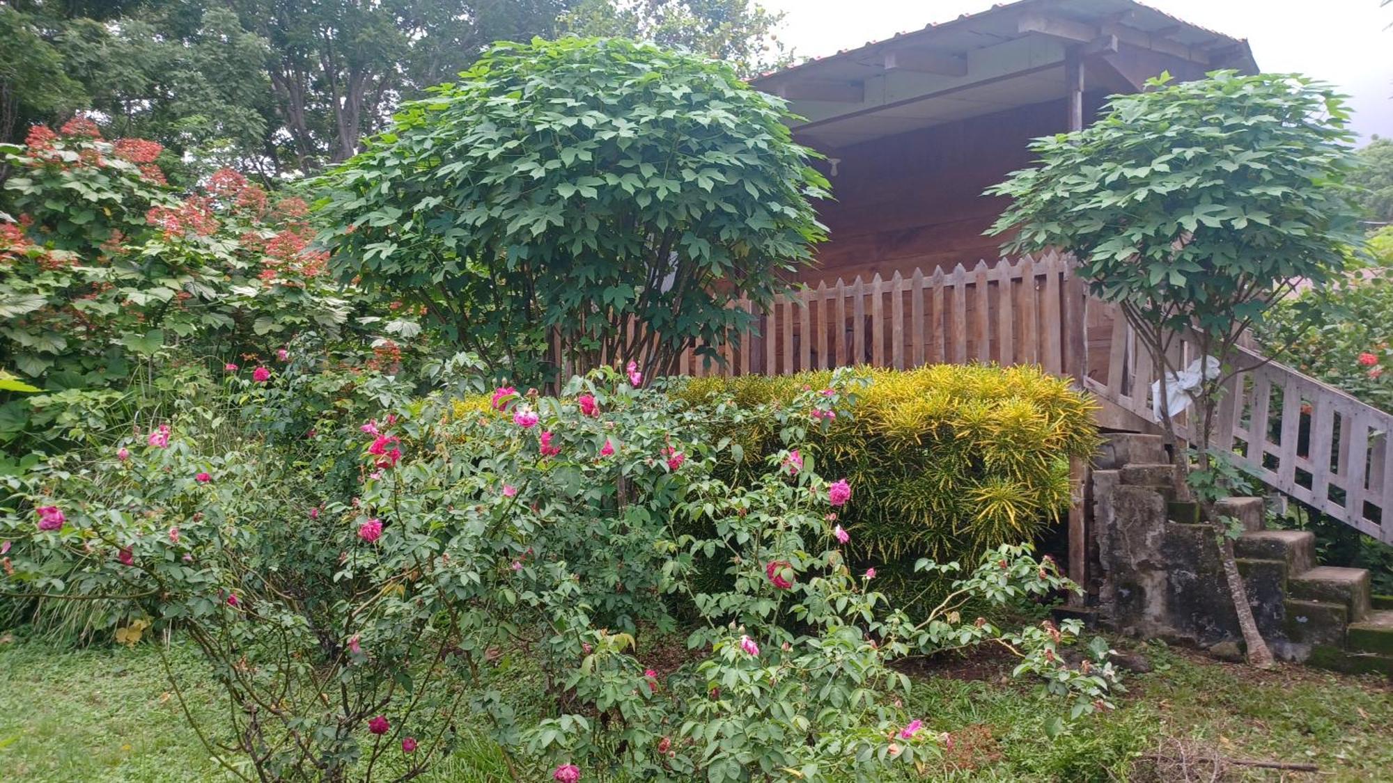 Finca Magdalena Eco Lodge Balgue Eksteriør billede