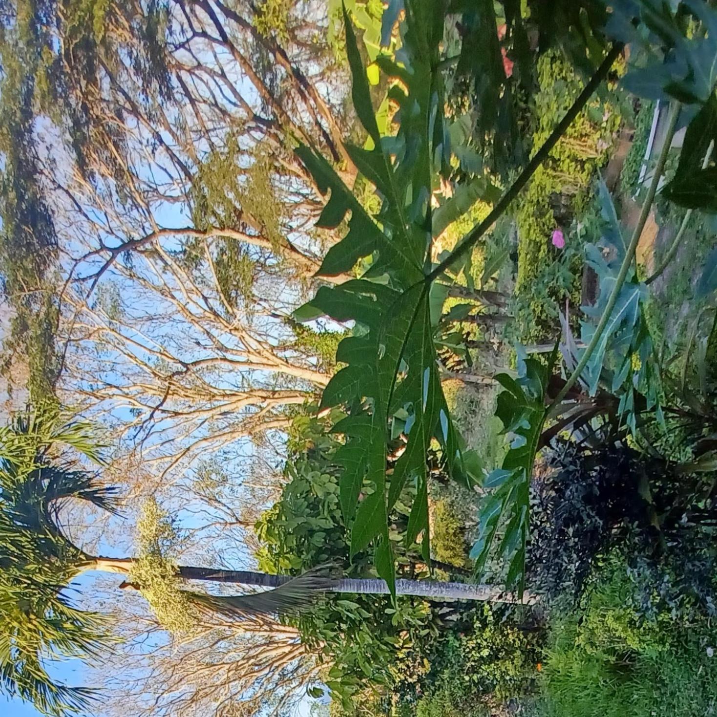 Finca Magdalena Eco Lodge Balgue Eksteriør billede