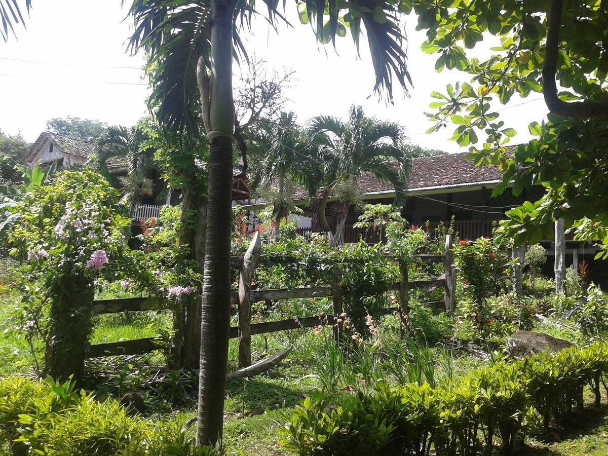 Finca Magdalena Eco Lodge Balgue Eksteriør billede