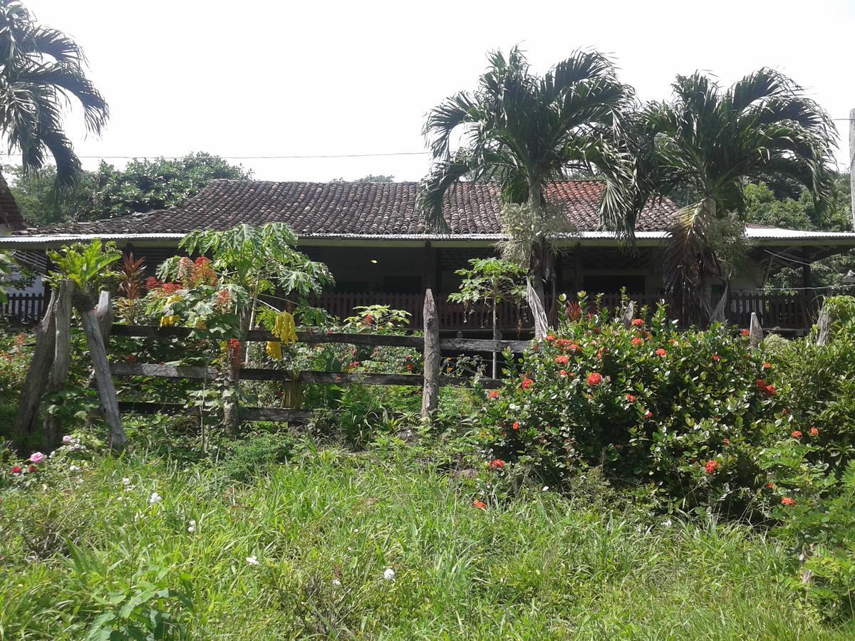 Finca Magdalena Eco Lodge Balgue Eksteriør billede